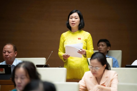 De xuat som van hanh san giao dich tin chi carbon quoc gia hinh anh