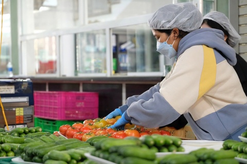 Gia rau cu qua cao ngat nguong hinh anh