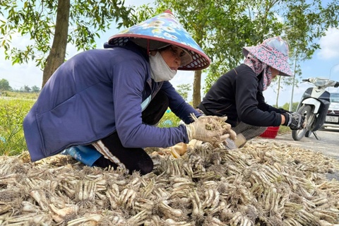 Kieu Tet 'chay hang' ngay tai ruong hinh anh