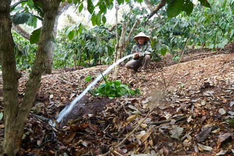Giam chi phi xang: Nong, ngu dan tuoi cay bang dien, ban ca giua bien hinh anh