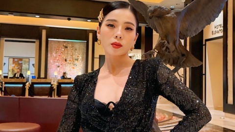 So Van hoa TP.HCM noi ve viec xu ly vu Le Quyen 'vang tuc' hinh anh