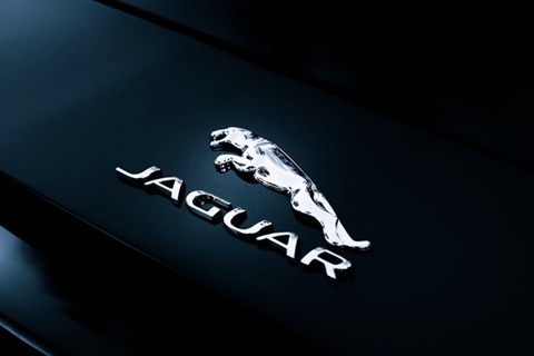 Jaguar gay xon xao hinh anh