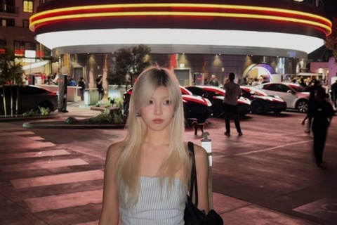 Tram sac Tesla moi cua Elon Musk bi che tam thuong hinh anh