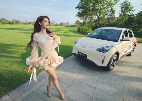 Geely Việt Nam ra mắt hơn 130 mẫu decal dành riêng cho Geely EX2