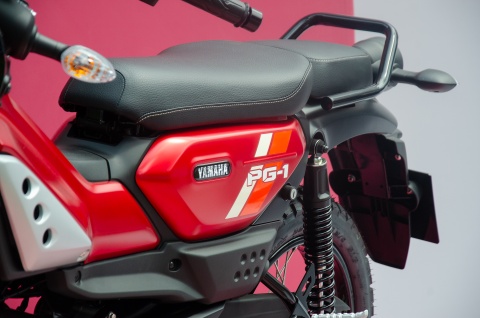 Chut tiec nuoi voi Yamaha PG-1 hinh anh