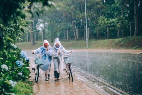 Tranh hiem hoa khi du lich Da Lat mua mua hinh anh