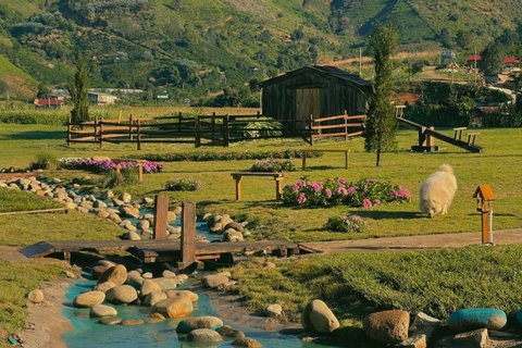 Hang quan 'noi nhu con' nho nhan vien cot nha hinh anh