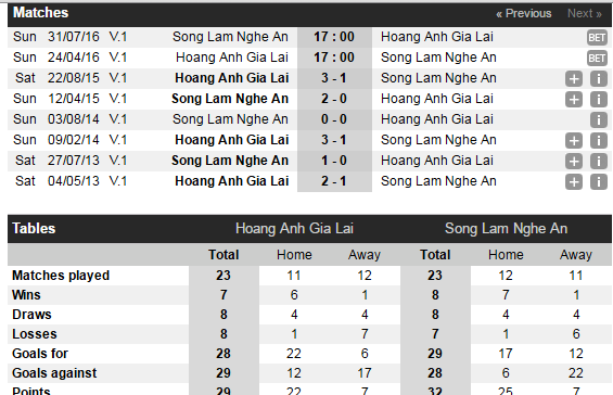 Tran HAGL va SLNA anh 2