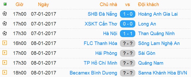 Tran Da Nang vs HAGL anh 19