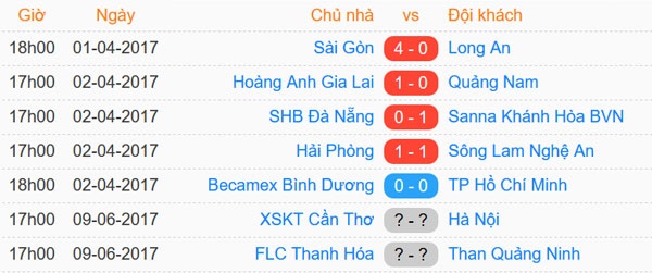 Tran CLB Binh Duong vs CLB TP.HCM anh 10