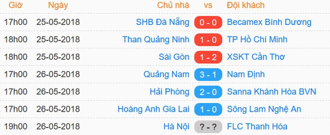 Tran HAGL vs SLNA anh 14