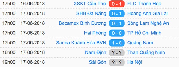 CLB Da Nang vs HAGL anh 15