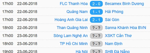 HAGL vs CLB Sai Gon anh 11