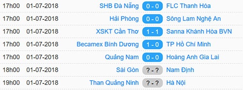 CLB Quang Nam vs HAGL anh 14