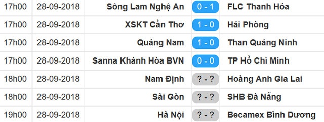 SLNA vs CLB Thanh Hoa anh 12
