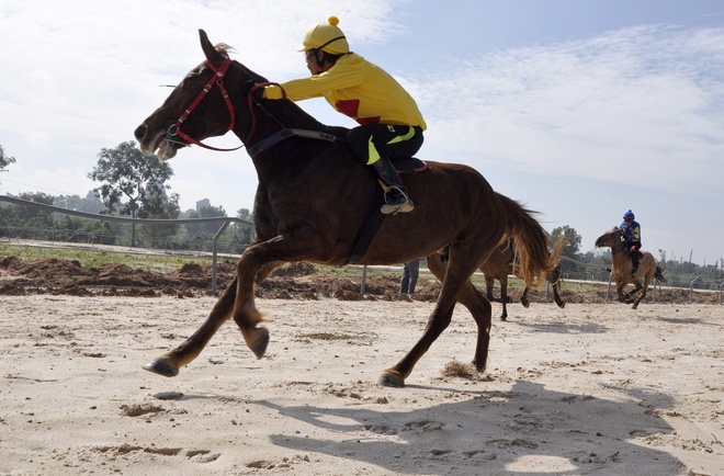 Ngựa%20phi%20trong%20trường%20đua%20của%20ông%20Dũng%20lò%20vôi%20-%20Kinh%20doanh