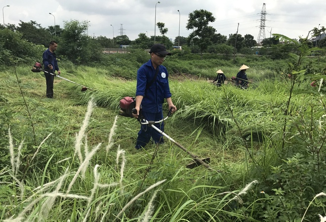 Công nhân vất vả dẹp 'rừng' cỏ ở đại lộ Thăng Long | Znews.vn