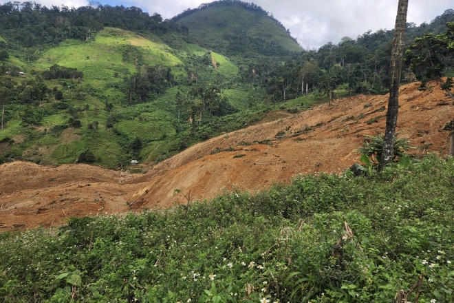 sap qua doi Da Nang anh 1