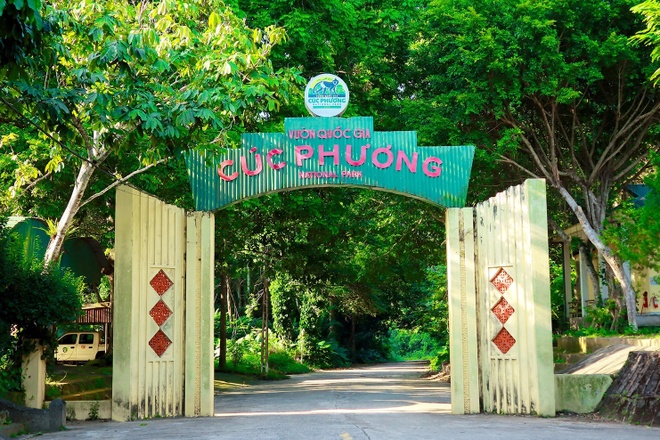 Du khách mất tích nhiều ngày trong rừng Cúc Phương - Địa điểm du lịch