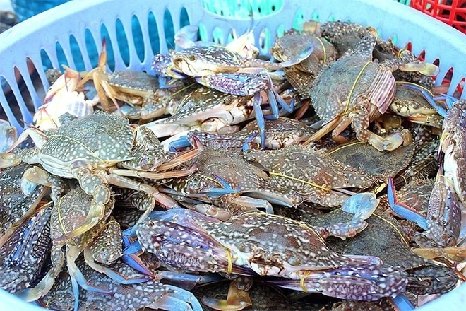xuat khau cua ghe,  xuat khau thuy san,  thuy san xuat khau anh 1