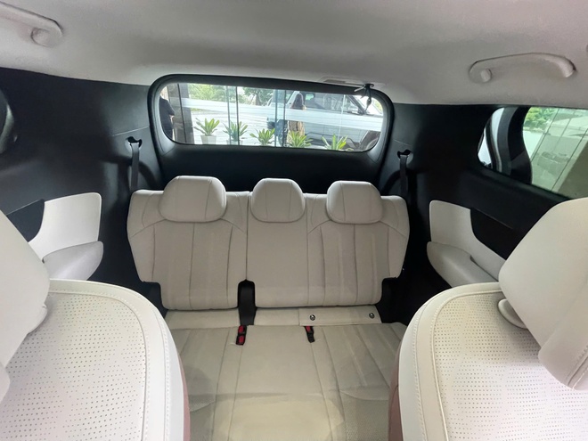 BYD M9 PHEV anh 4
