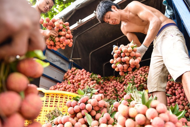 Sieu thi dua nhau tang ban vai thieu anh 1