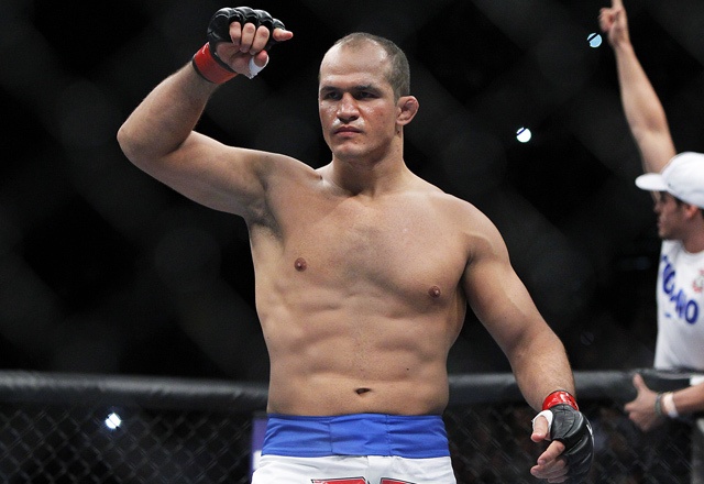 UFC anh 10