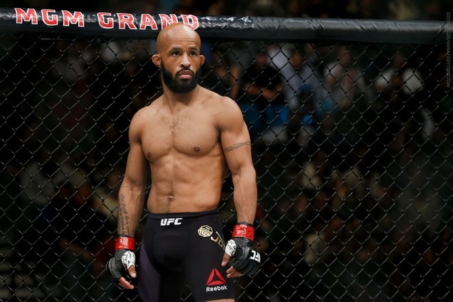 UFC anh 4