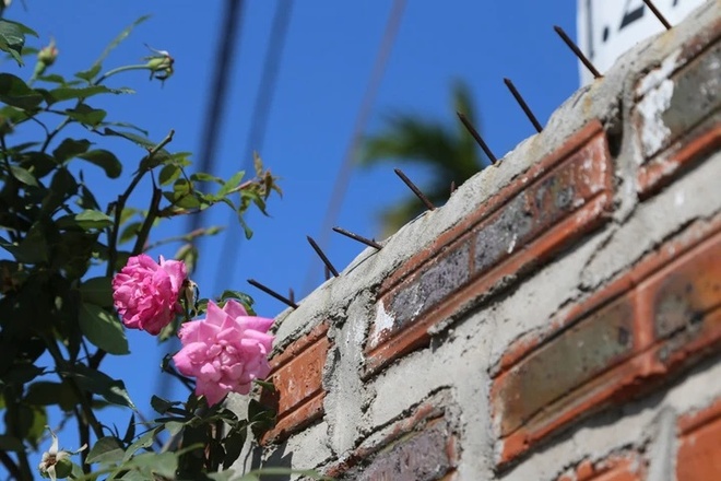 Trung tâm Hải Hà ảnh 4 Trung tam Hai Ha anh 4