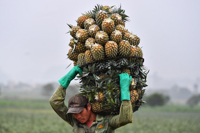 van chuyen nong san bang hang khong va duong sat anh 1