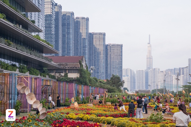 vuon hoa ga ba son anh 2