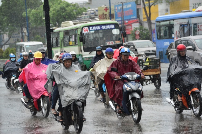 Bao so 9 do bo vao Vung Tau anh 32