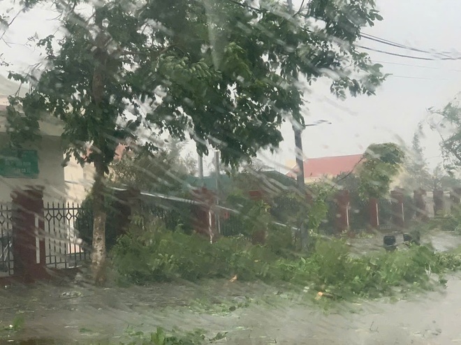 Bão Yagi cấp 14, cách Quảng Ninh hơn 100 km - Xã hội