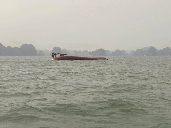vu lat tau anh 10