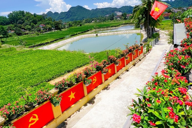 trang tri co to quoc anh 1