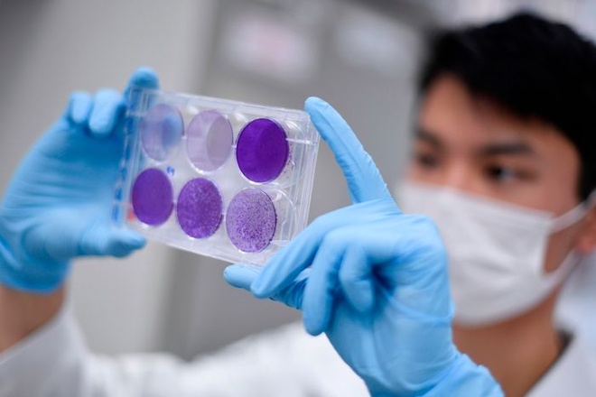 vaccine Covid-19 hieu qua khong anh 3