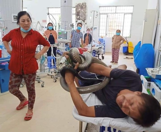 mang ran ho mang chua vao benh vien anh 1