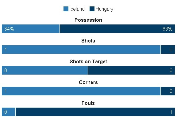 Truc tiep Iceland vs Hungary anh 8