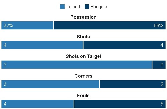 Truc tiep Iceland vs Hungary anh 20