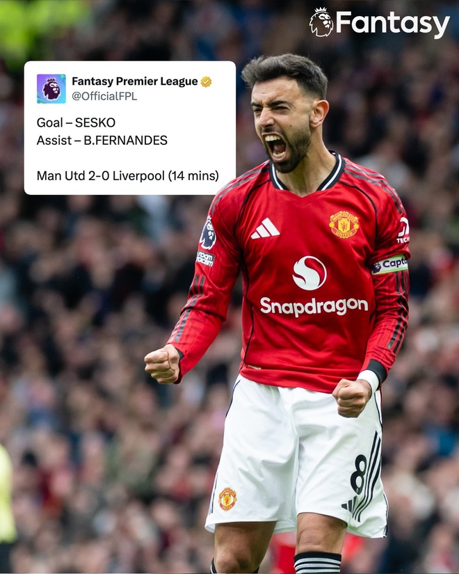 Fernandes anh 1