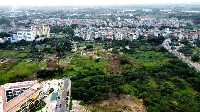 dat dau gia anh 1
