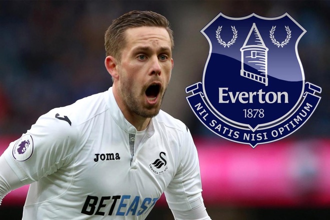 Everton chieu mo Sigurdsson anh 1