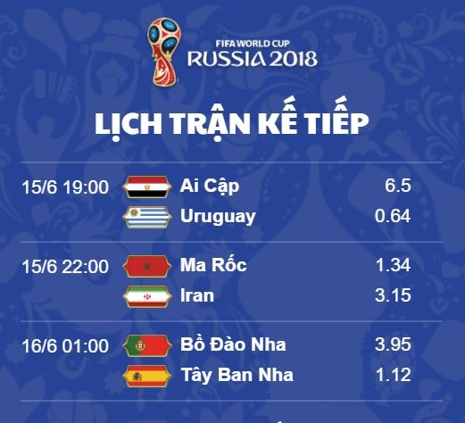 truc tiep World Cup anh 5