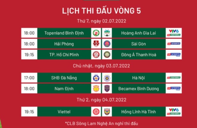CLB Binh Dinh vs HAGL anh 6