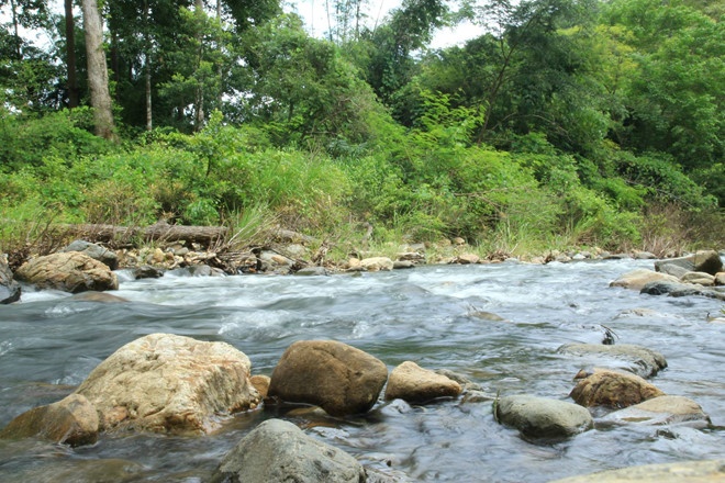 tranh tai nan Ta Nang anh 1