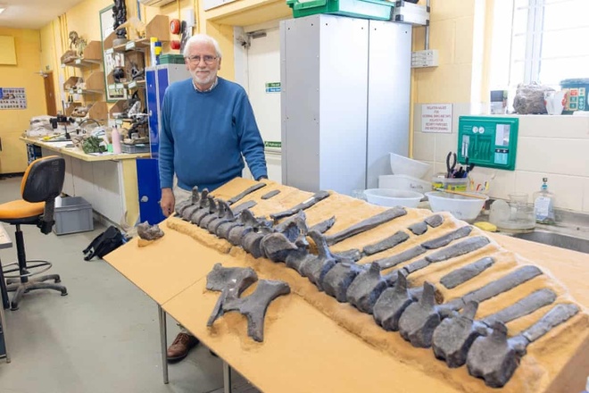 Phát hiện loài khủng long mới trên hòn đảo ở Anh | Znews.vn