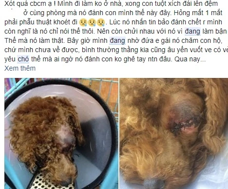 The dog was beaten and its eyes were damaged (image 1).