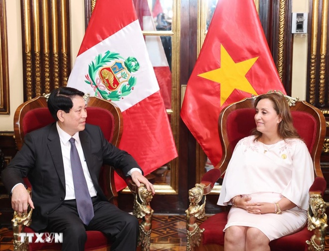 Chu tich nuoc Luong Cuong anh 1