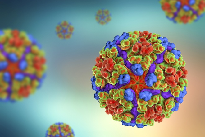 Chikungunya_Virus_4_M.jpg