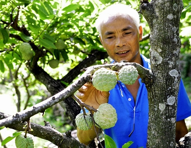 Quoc hoi thao luan kinh te xa hoi anh 7